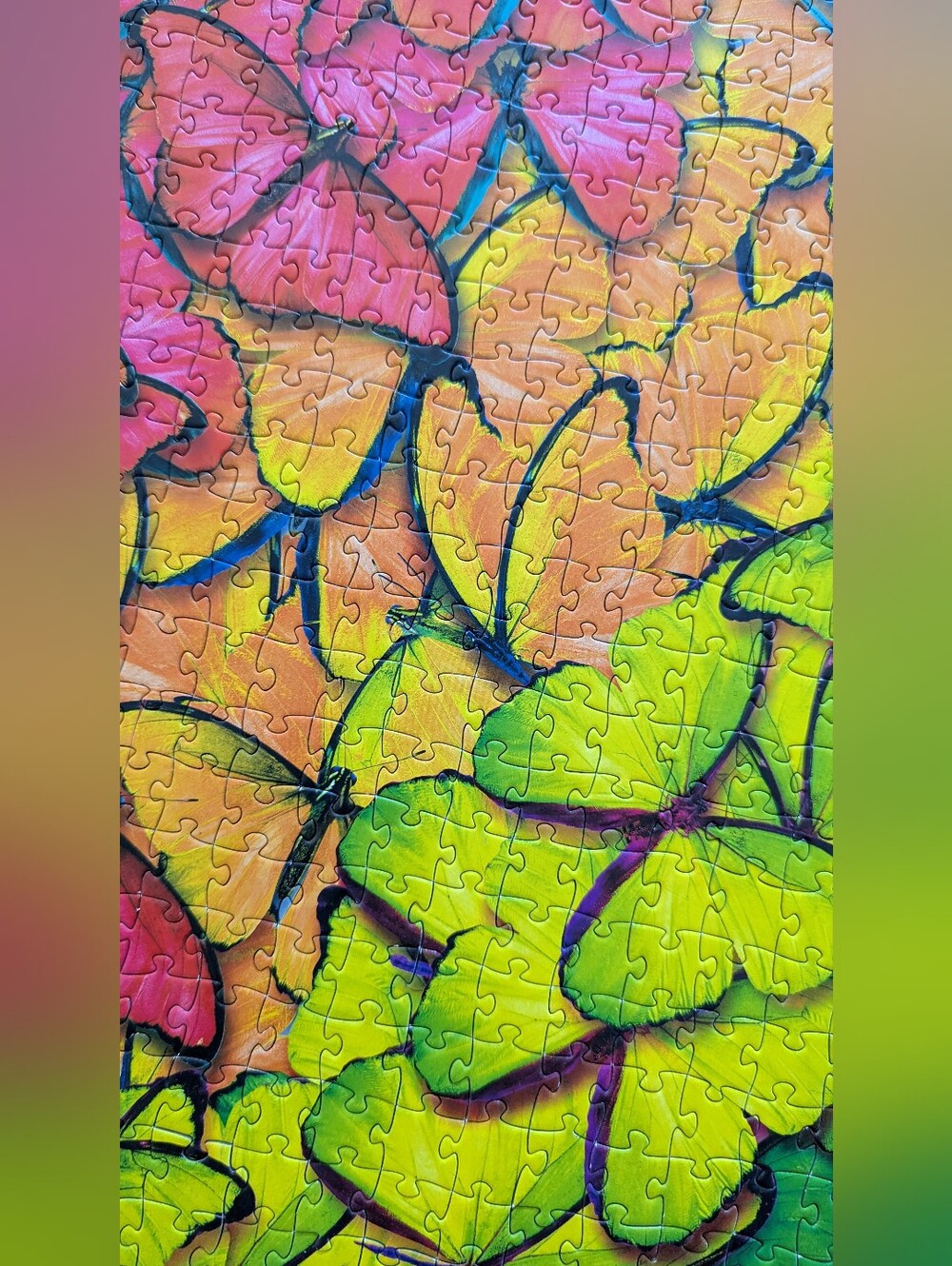 Butterfly 1000 Piece Puzzle Eurographics Butterfly - Picture 5 of 6